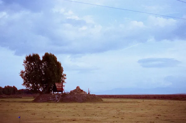 Un amor mío es como las olas, se acercan y se van. A veces, lejos a otras costas. Pero siempre se entregará ante su marea preferida.